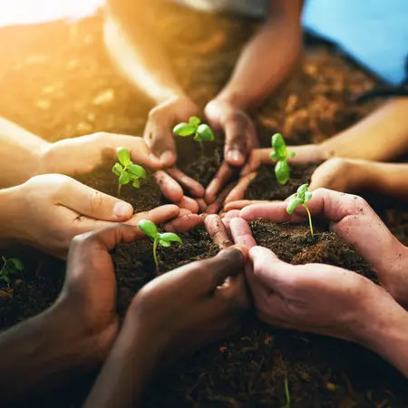 group holding soil